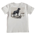 Cardin McCoy Kids' CM Black Lab Short-Sleeve Tee: Ice Gray
